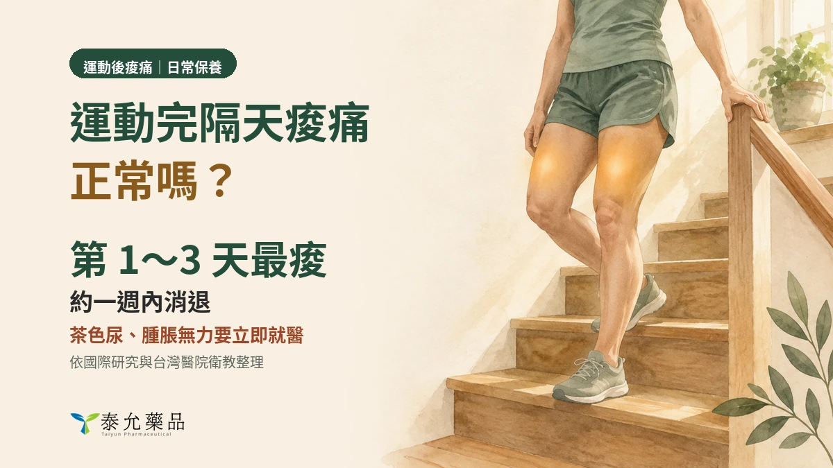 運動完隔天痠痛正常嗎？延遲性肌肉痠痛的逐日時間軸與就醫警訊