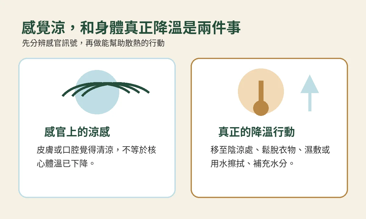 感官涼感與真正降溫行動的比較圖