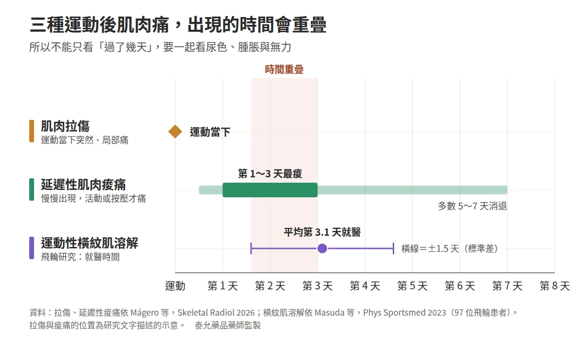 三種運動後肌肉痛的出現時間比較：拉傷在運動當下出現；延遲性肌肉痠痛在運動後約 12 小時至 7 天，第 1 至 3 天最痠；飛輪後橫紋肌溶解患者平均在第 3.1 天就醫，與痠痛高峰重疊