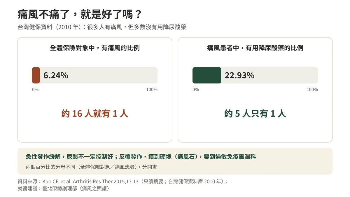 台灣痛風有多常見：二零一零年健保資料顯示盛行率百分之六點二四，約十六人就有一人；但痛風患者中只有百分之二十二點九三使用降尿酸藥